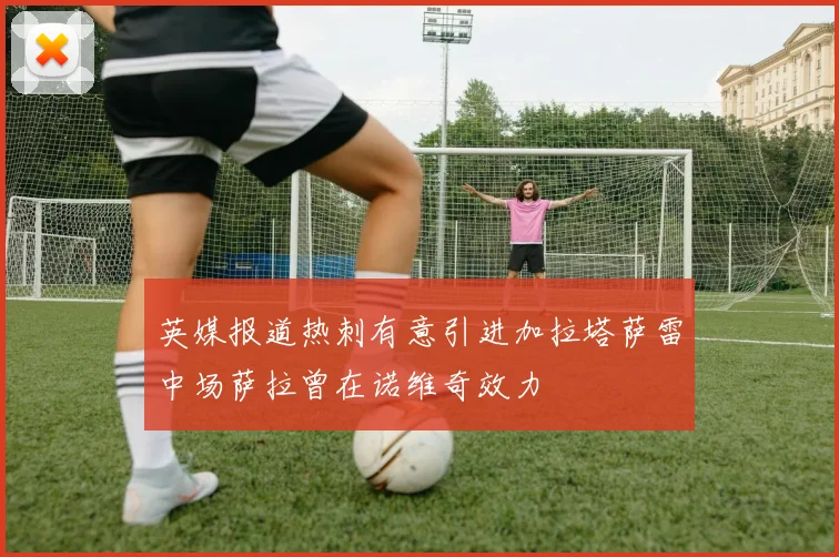 英媒报道热刺有意引进加拉塔萨雷中场萨拉曾在诺维奇效力