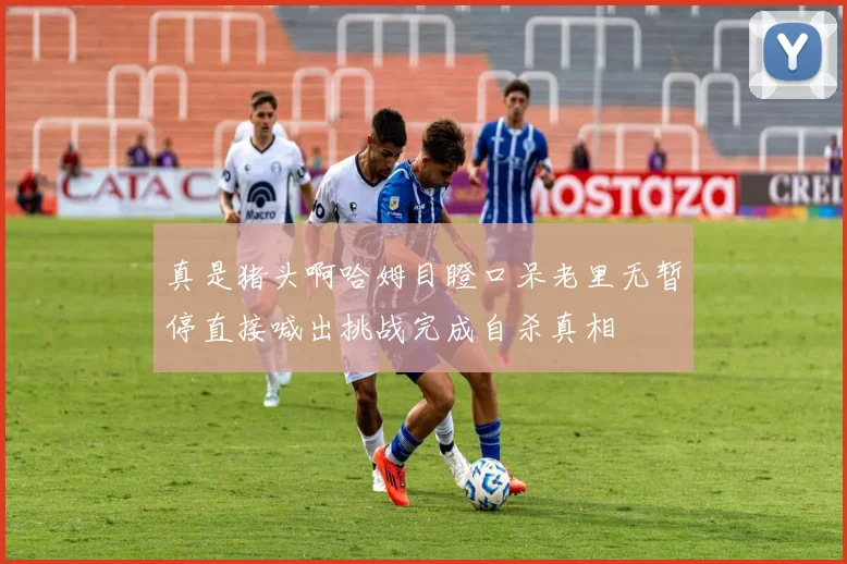 真是猪头啊哈姆目瞪口呆老里无暂停直接喊出挑战完成自杀真相